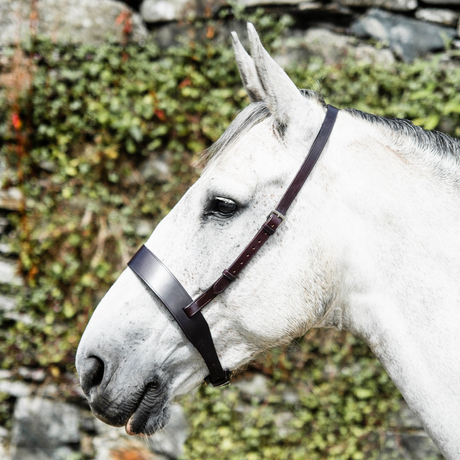 Mackey Classic Wide Flat Cavesson Noseband #colour_brown