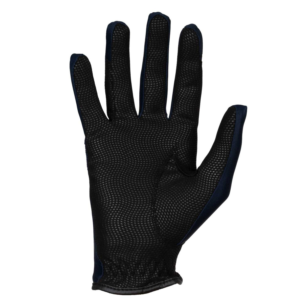 Equestro Gloves In Technical Fabric Equestro X Fise #colour_blue