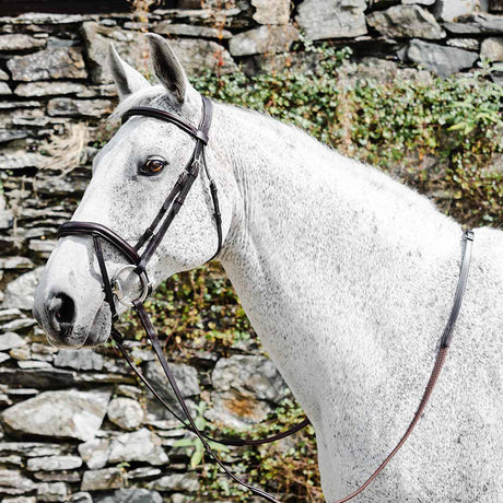 Mackey Legend Apollo Bridle