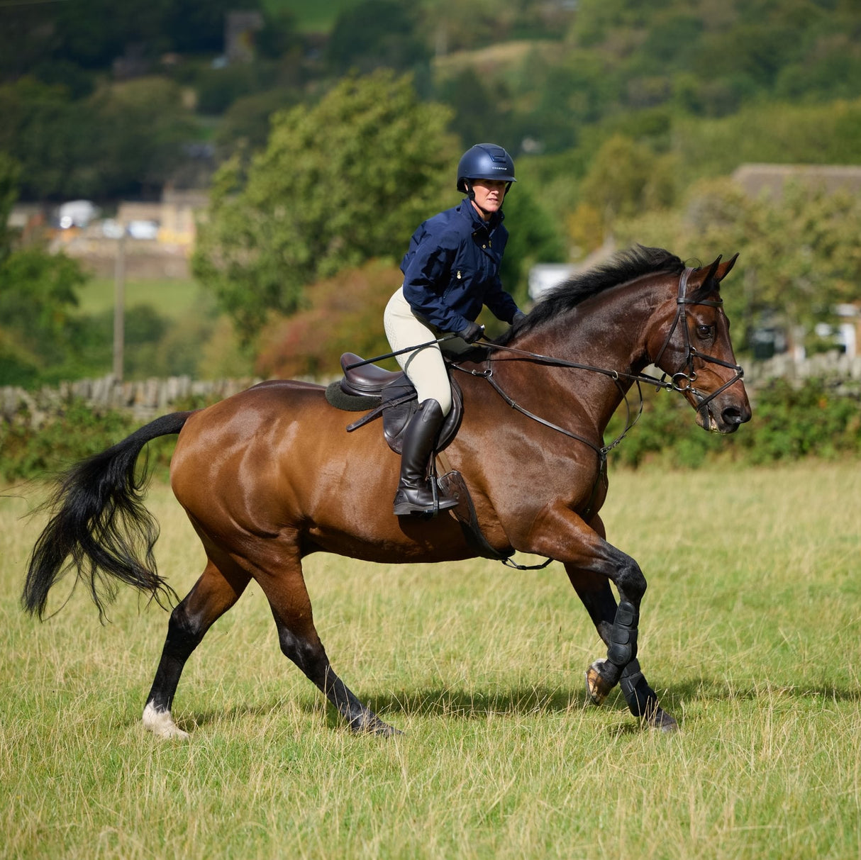 Toggi Croma Womens Breeches #colour_stone