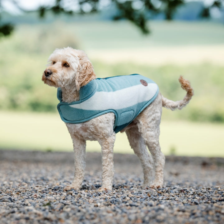 Horseware Ireland Newmarket Dog Fleece #colour_witney-dynasty