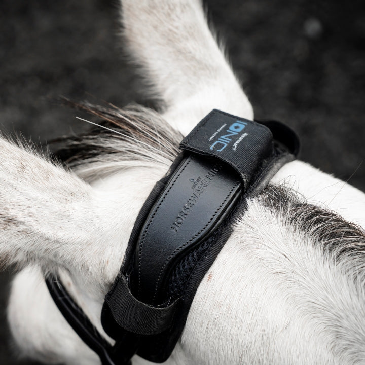 Horseware Ireland Ionic Poll Cover