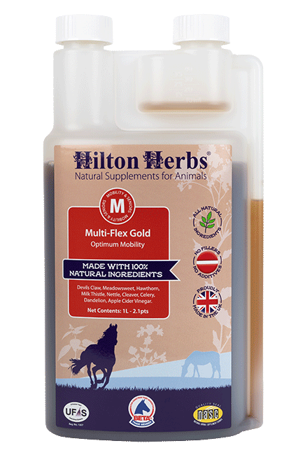 Hilton Herbs Multiflex Gold