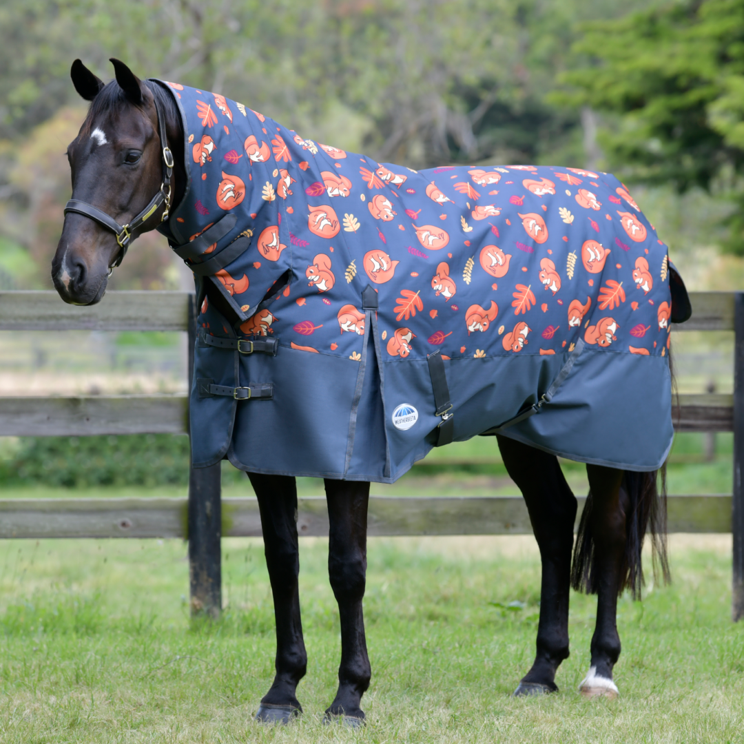 Weatherbeeta ComFiTec Essential Combo Neck Medium Turnout Rug – GS ...