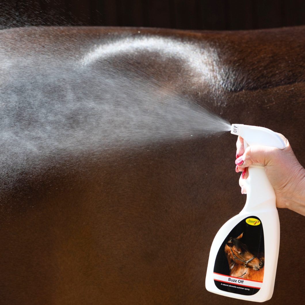 Smart Grooming Buzz Off