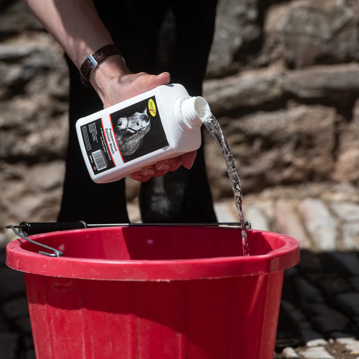 Smart Grooming Peppermint Splosh Wash