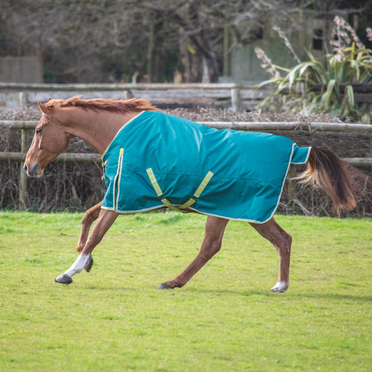 Bridleway Ontario 100g Turnout Rug #colour_green