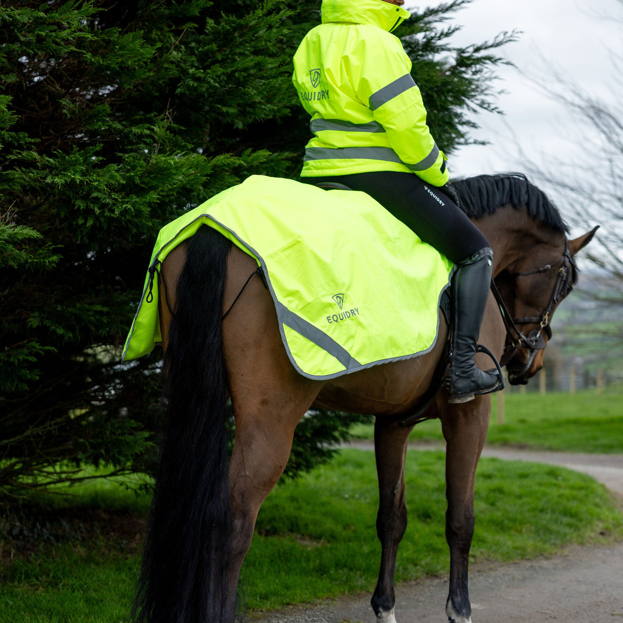 EQUIDRY Exercise Sheet Lite #colour_hi-vis-yellow