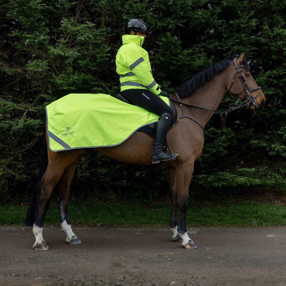 EQUIDRY Exercise Sheet Lite #colour_hi-vis-yellow