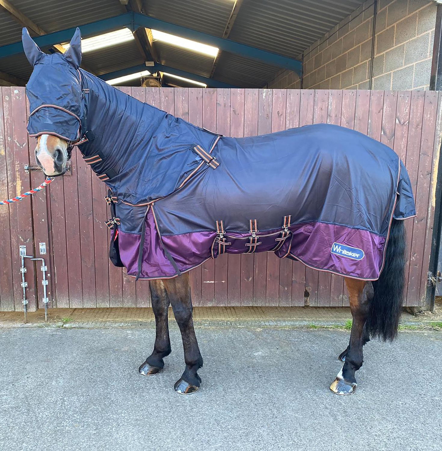 Whitaker Airton Fly Rug #colour_navy-plum