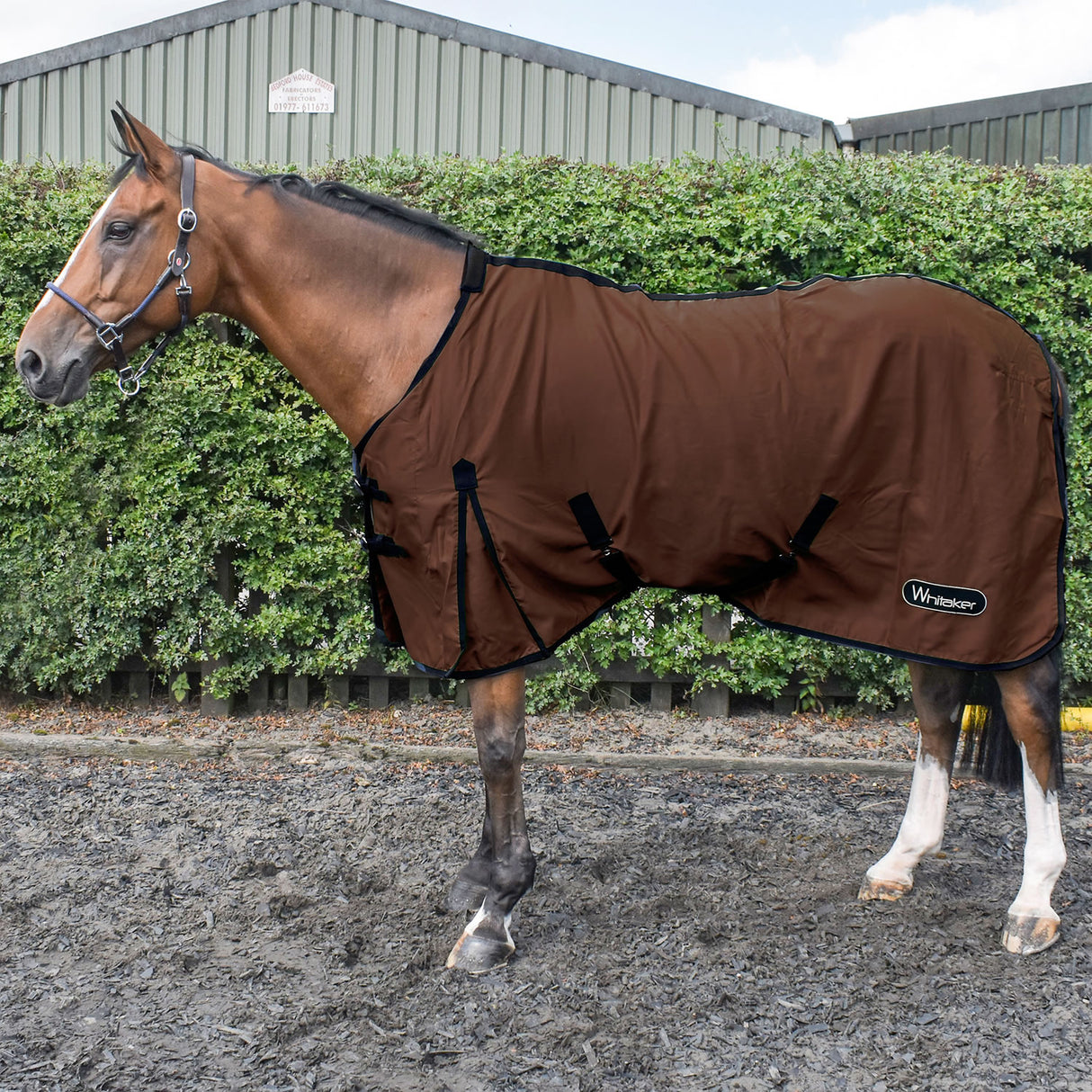 Whitaker Allerton Multi-Function Cotton Sheet #colour_chocolate