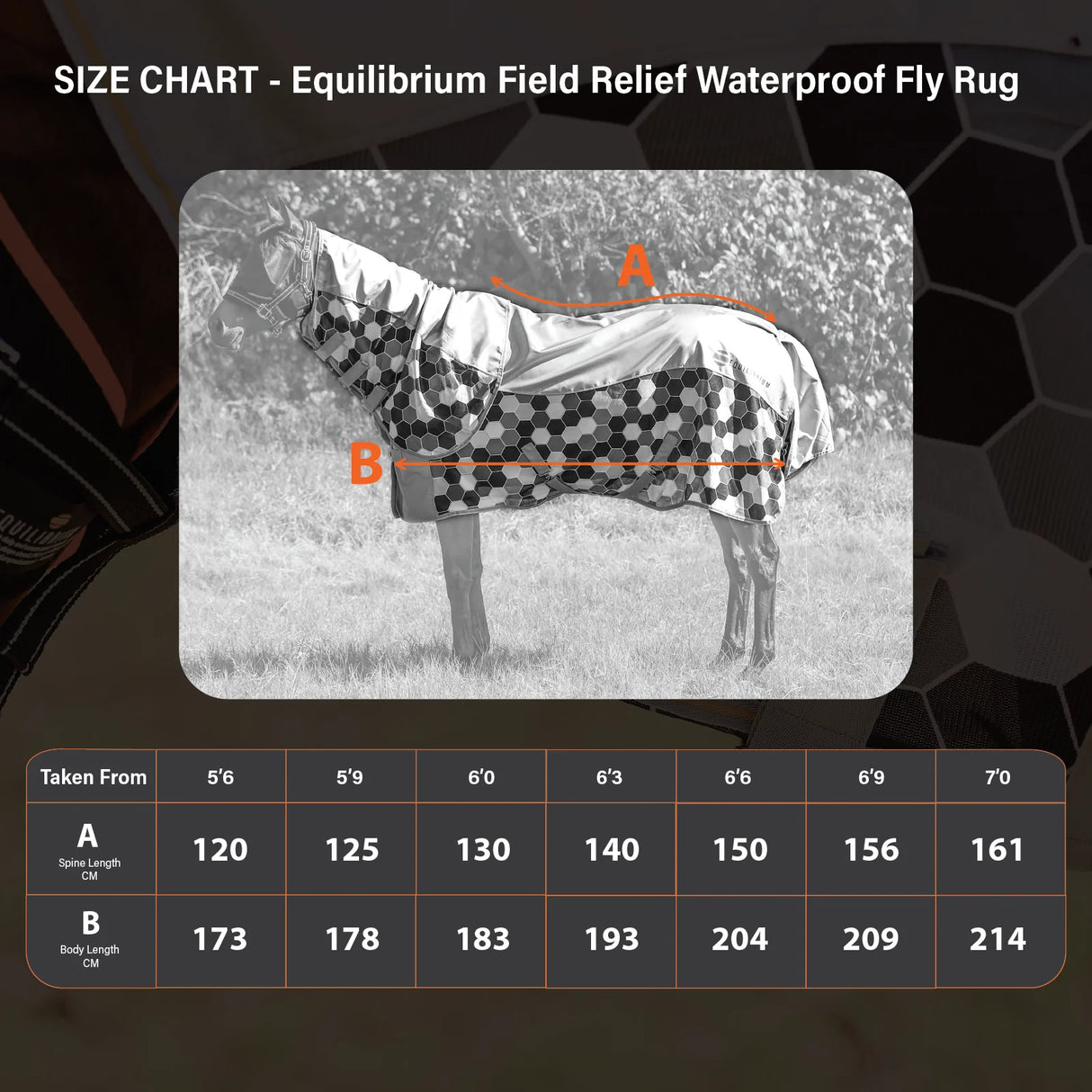 Equilibrium Waterproof Fly Rug