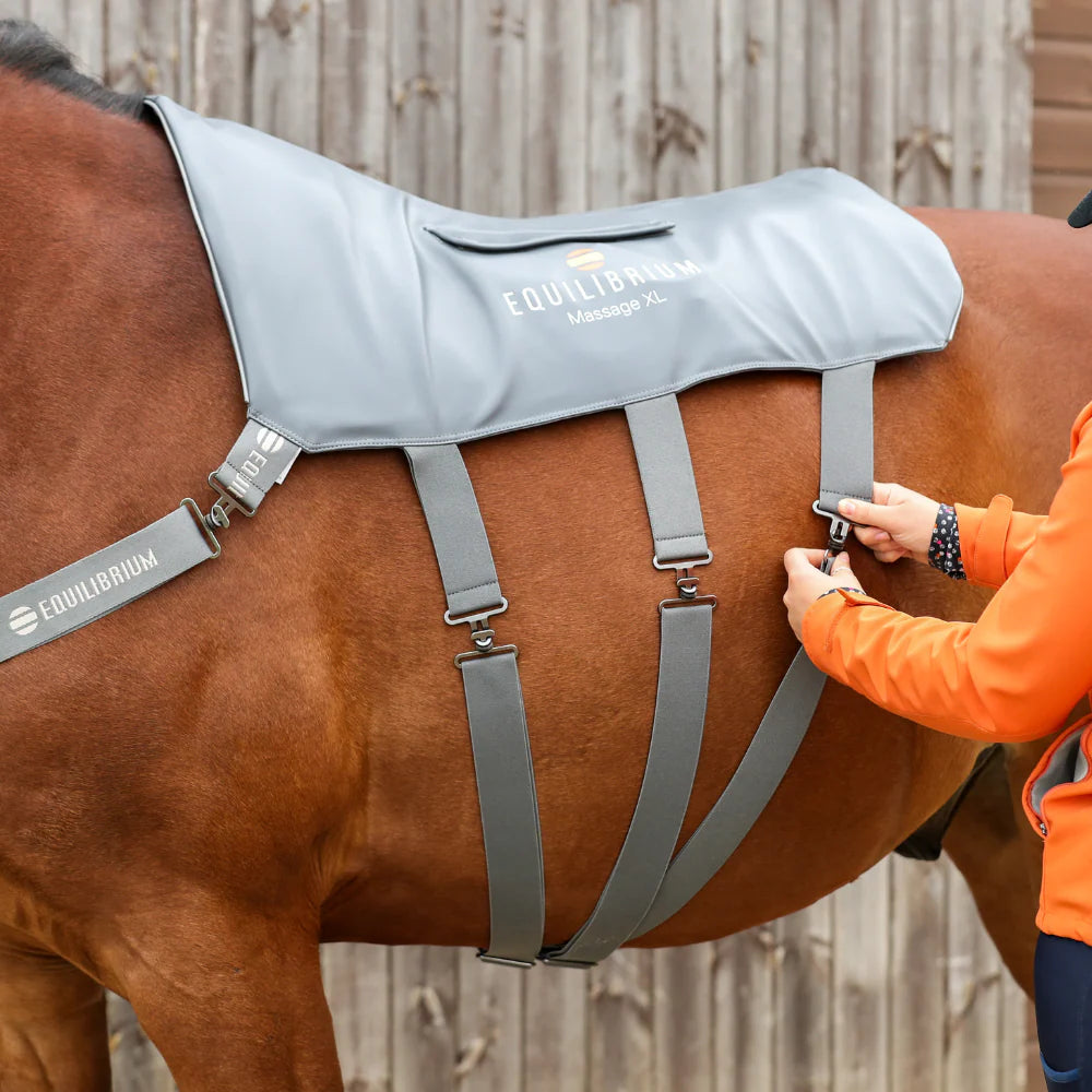 Equilibrium Massage Pad