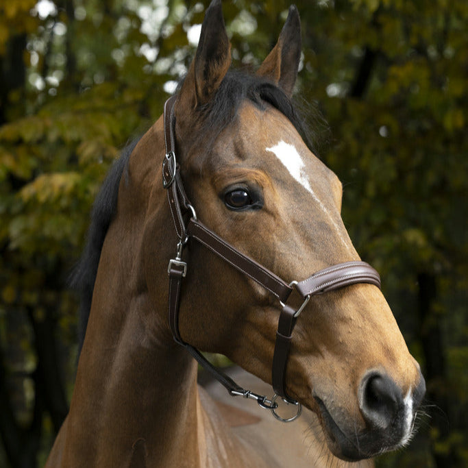 Norton Pro Anatomical Head Collar #colour_brown