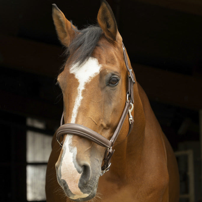 Norton Pro Anatomical Head Collar #colour_brown