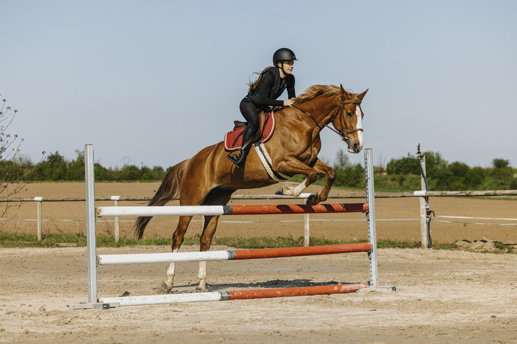 Equitheme Airsafe Airbag Vest #colour_black