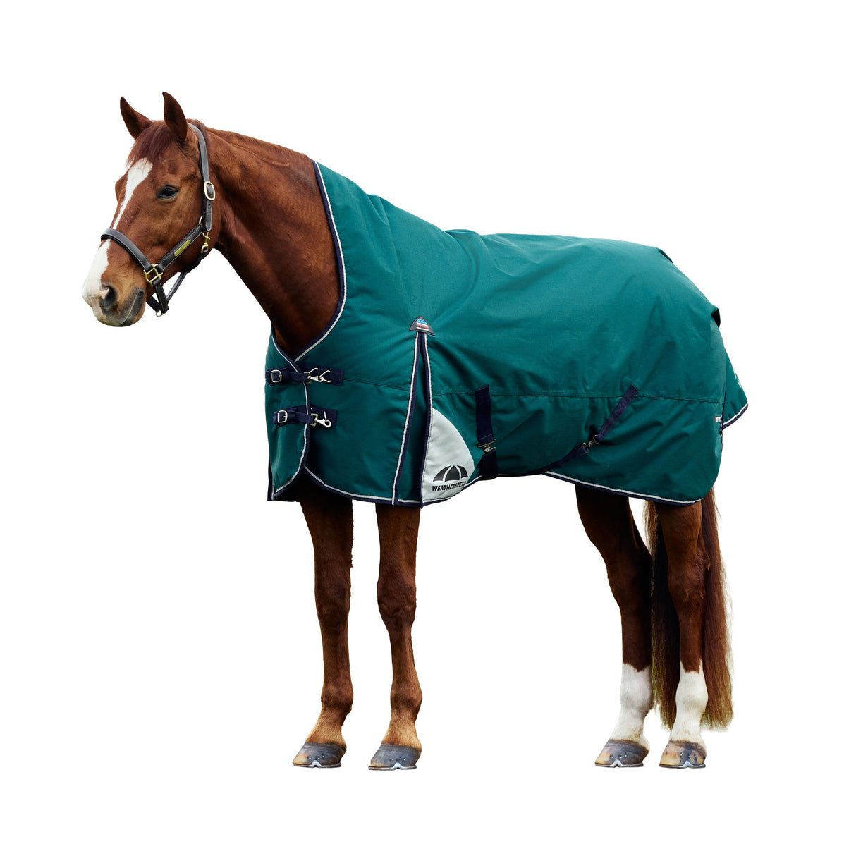Weatherbeeta Comfitec Plus Dynamic Turnout High Neck 0g