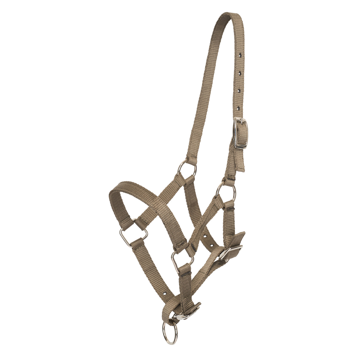 HV Polo Nena Foal Headcollar #colour_straw