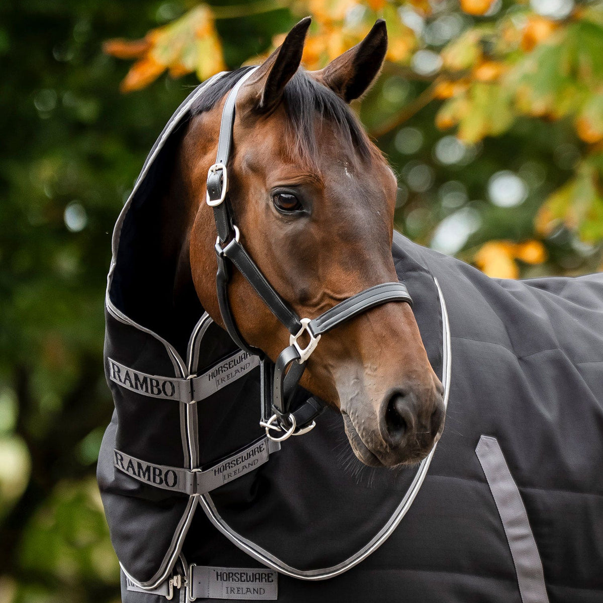 Horseware Ireland Rambo Stable Hood 100g