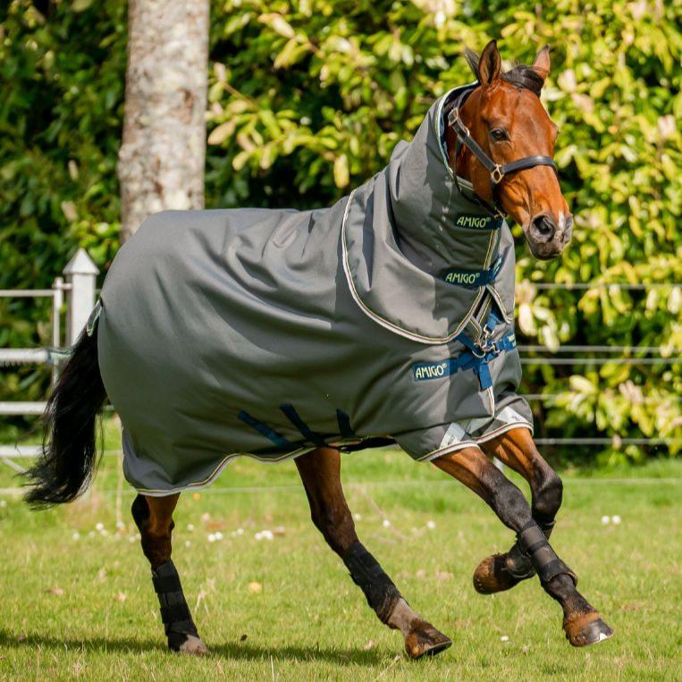 Horseware Ireland Amigo Bravo 12 Plus 250g Medium Turnout Rug #colour_shadow-navy-lime