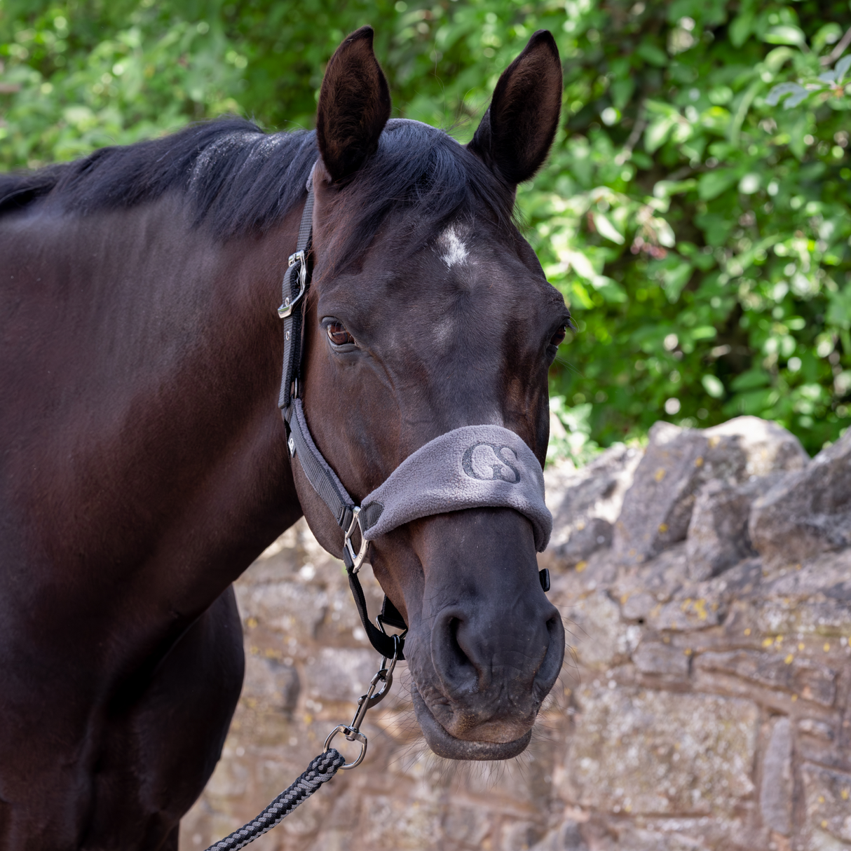 GS Equestrian & Country Headcollar & Lead Rope Set