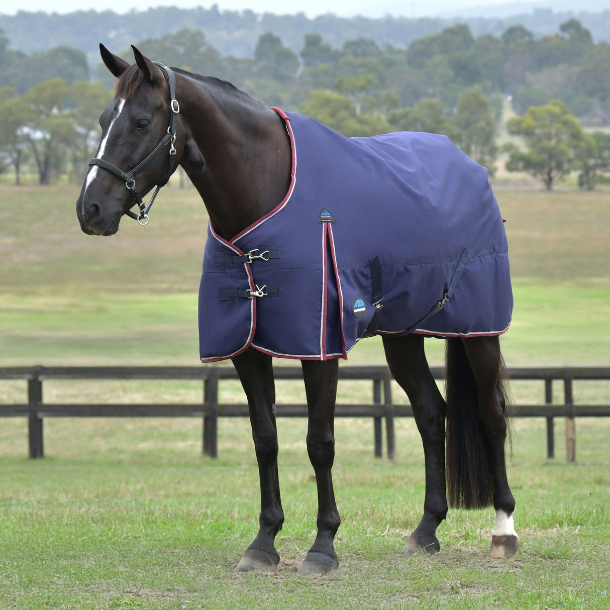 Weatherbeeta Comfitec Essential Turnout 100g