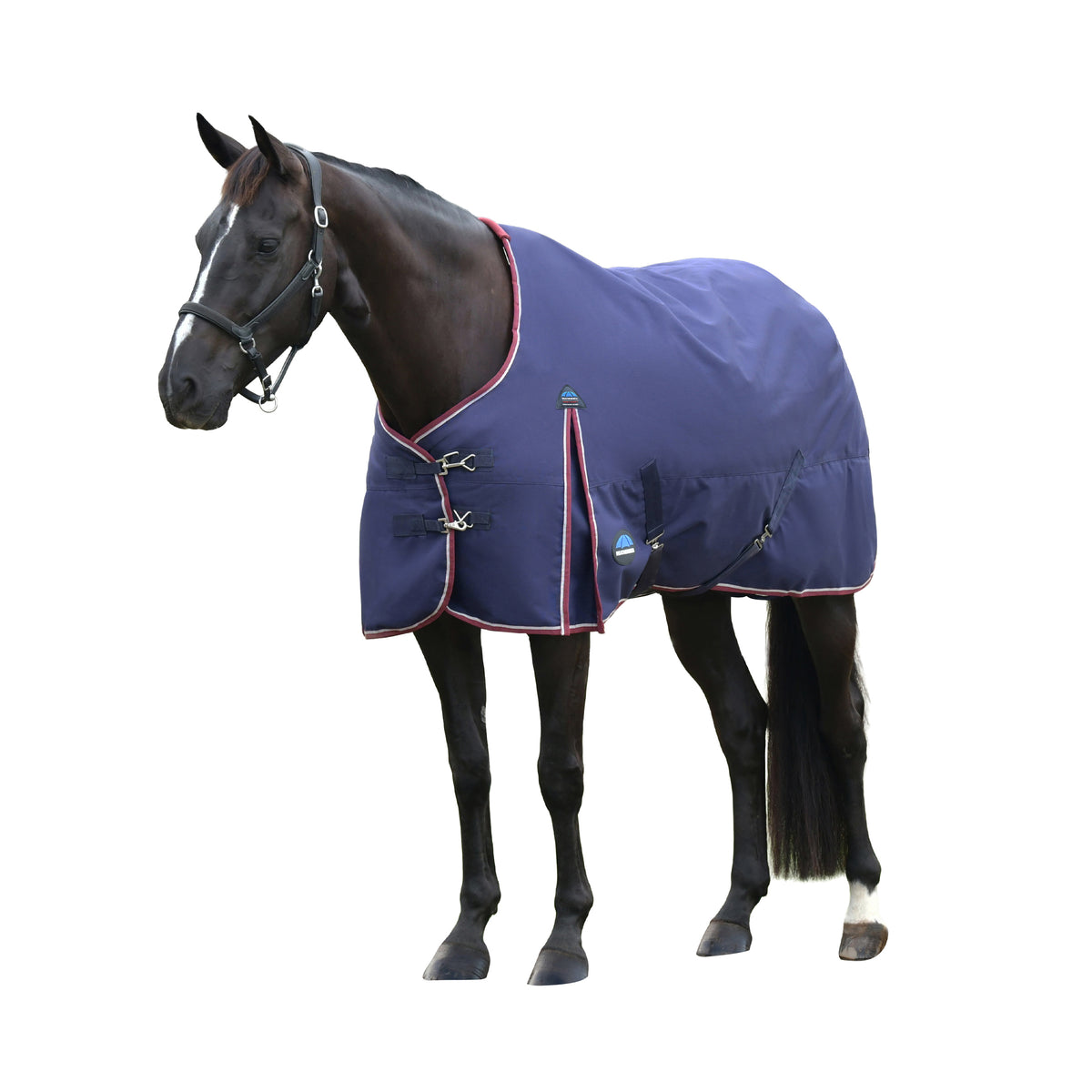 Weatherbeeta Comfitec Essential Turnout 100g