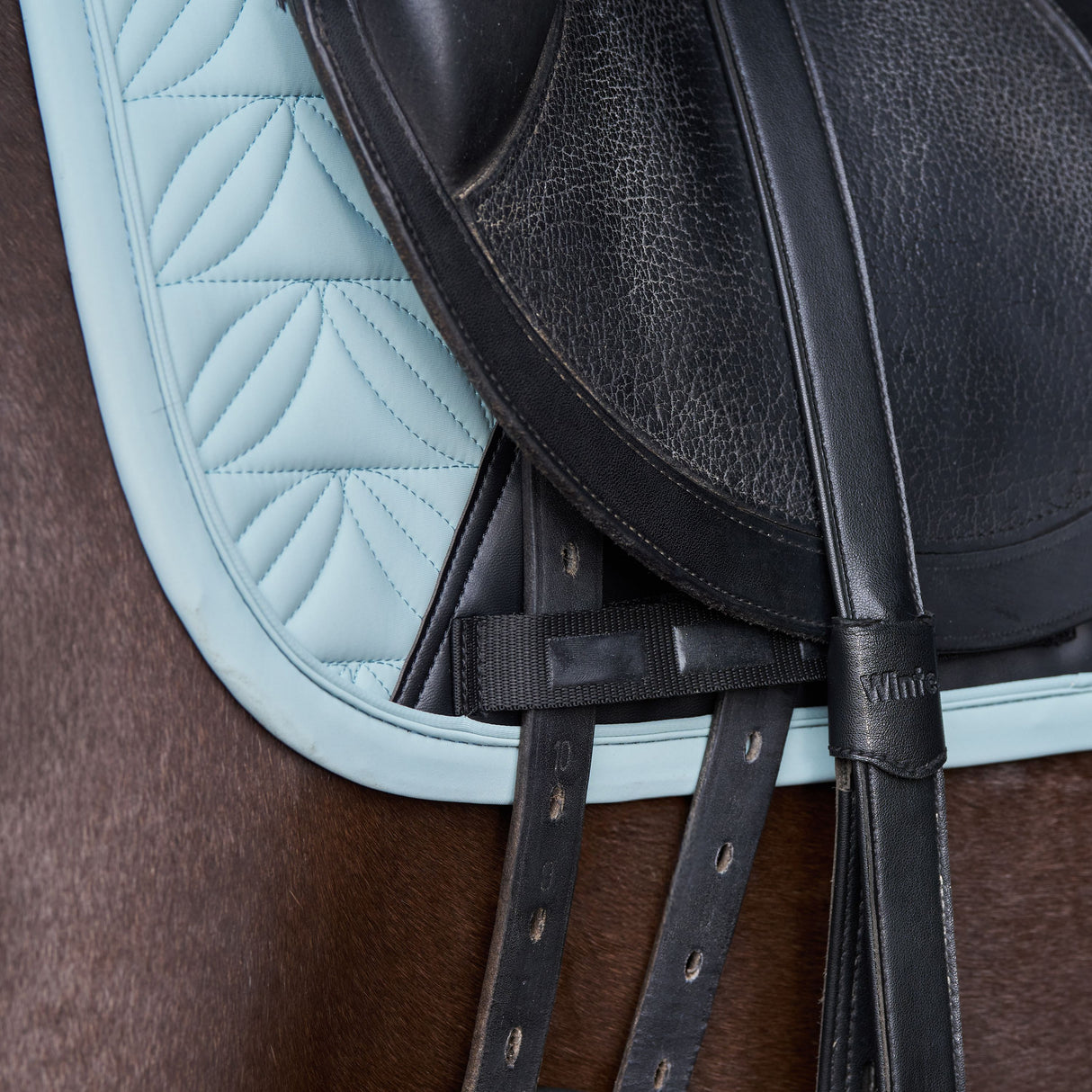 HV Polo Elisa Dressage Saddlepad #colour_aqua-sky