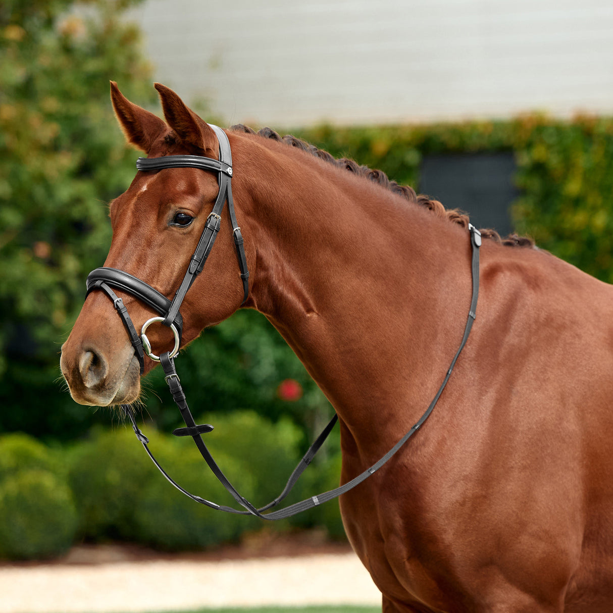 Dublin Padded Mono Crown Flash Leather Bridle for Horses
