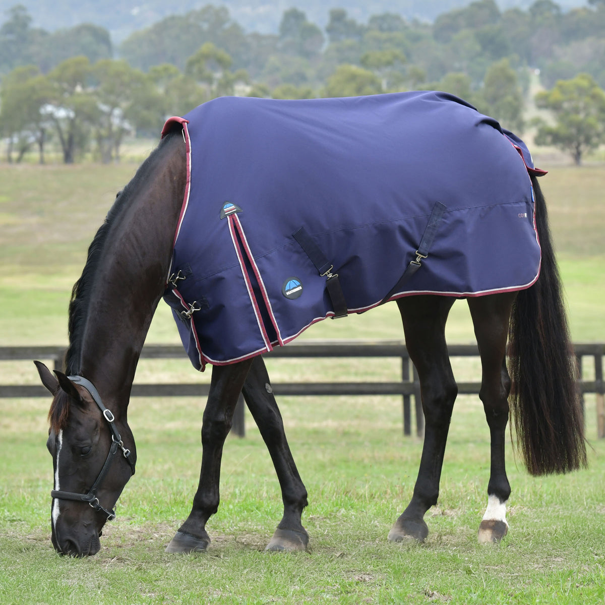 Weatherbeeta Comfitec Essential Turnout 360g