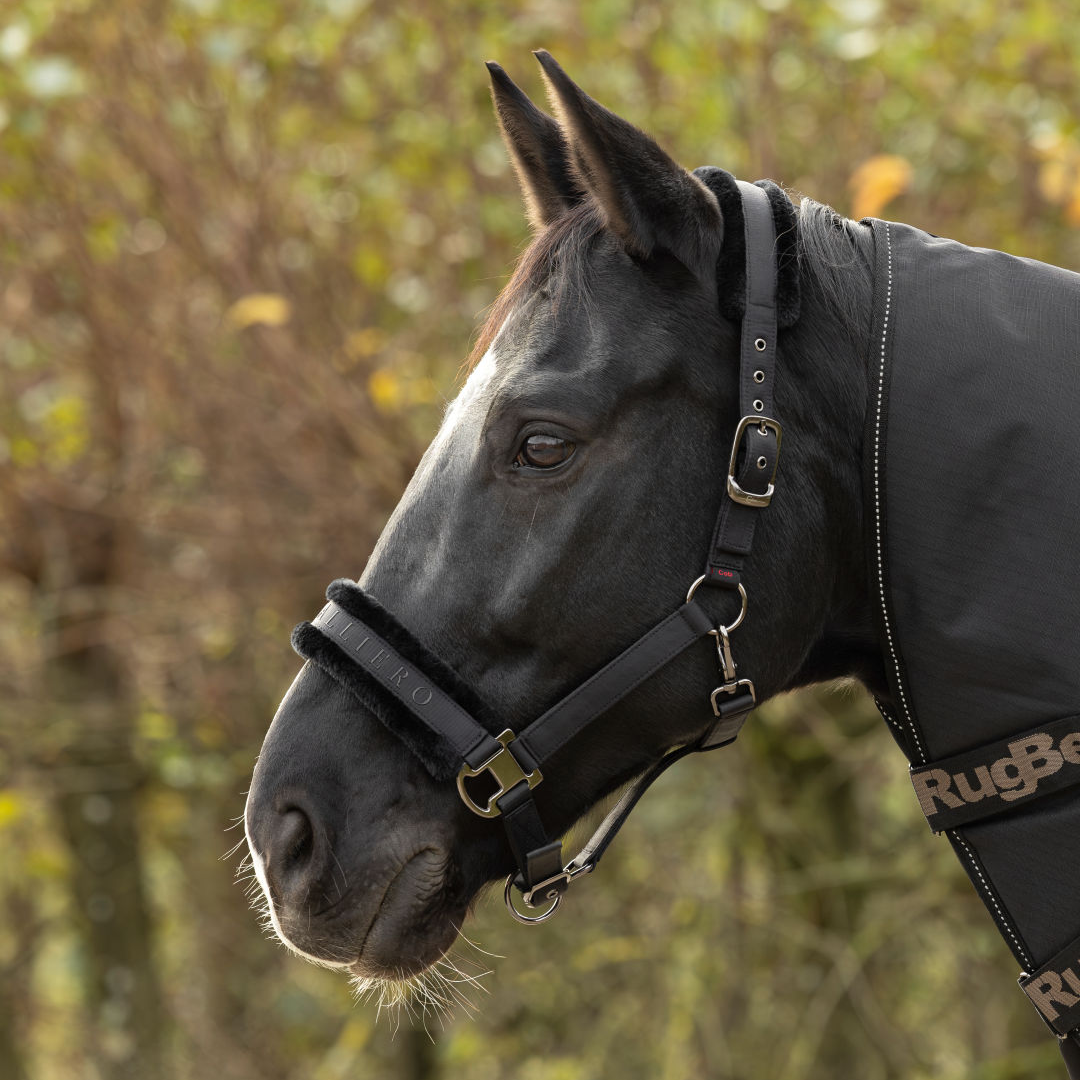Covalliero Fleece Lined Halter #colour_black