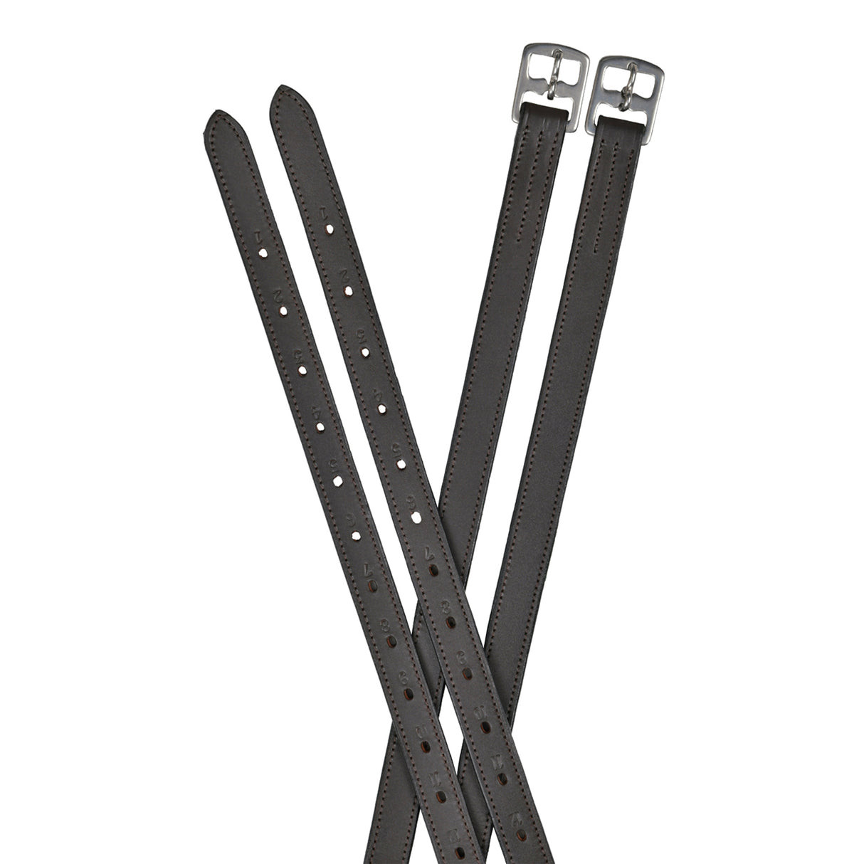Dublin Web Back Leather Stirrup Straps