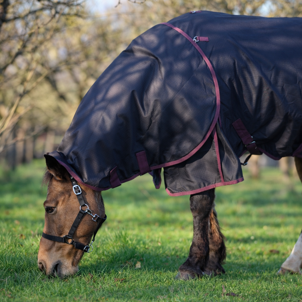 GS Equestrian 100g Detachable Neck Turnout Rug #colour_black-plum