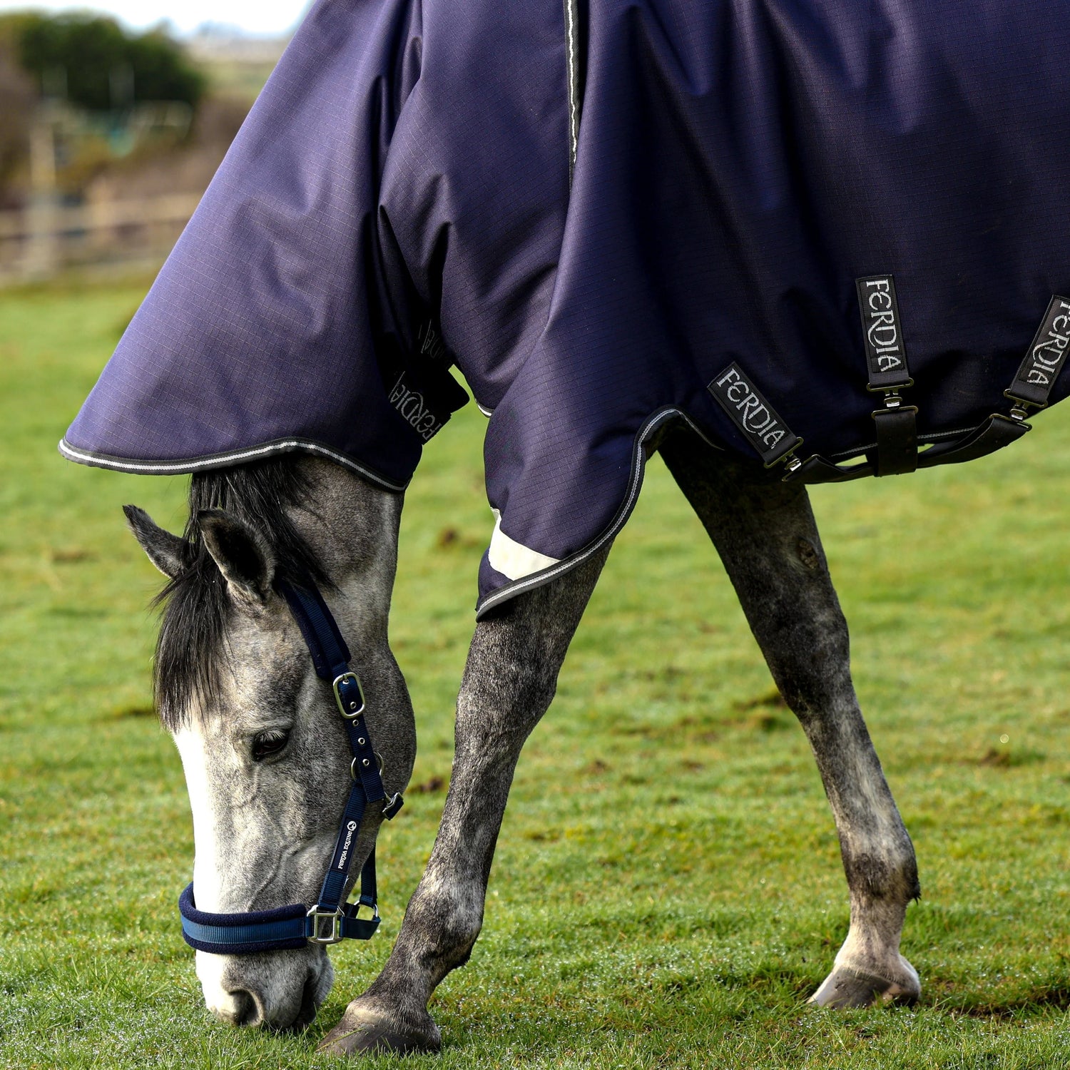 Ferdia Equine Chieftain 200g 1200D Ripstop Polyester Turnout Rug