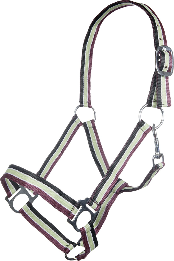 HKM Genf Head Collar #colour_black-apple-green-dark-red