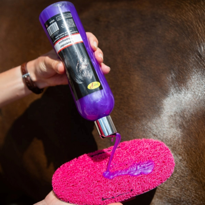Smart Grooming Lavender Shampoo