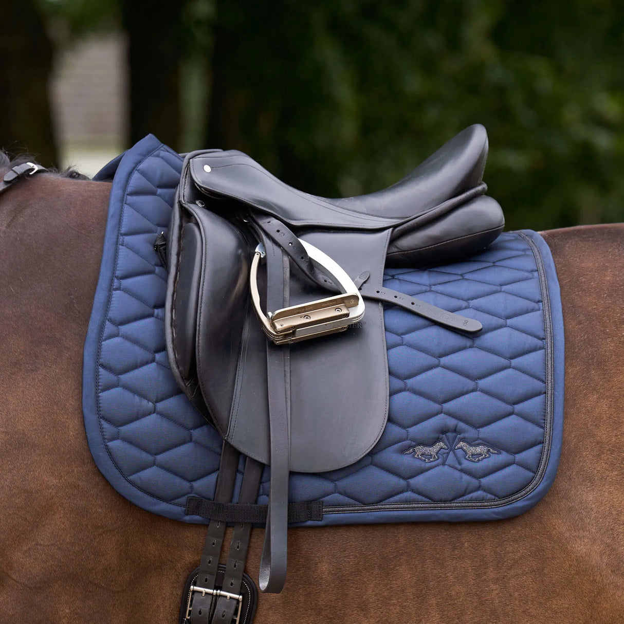 HV Polo Joan Dressage Saddle Pad #colour_navy