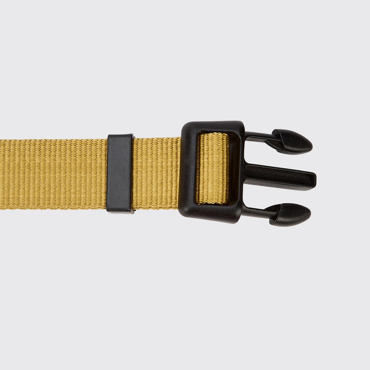 Dubarry Apollo Dog Collar