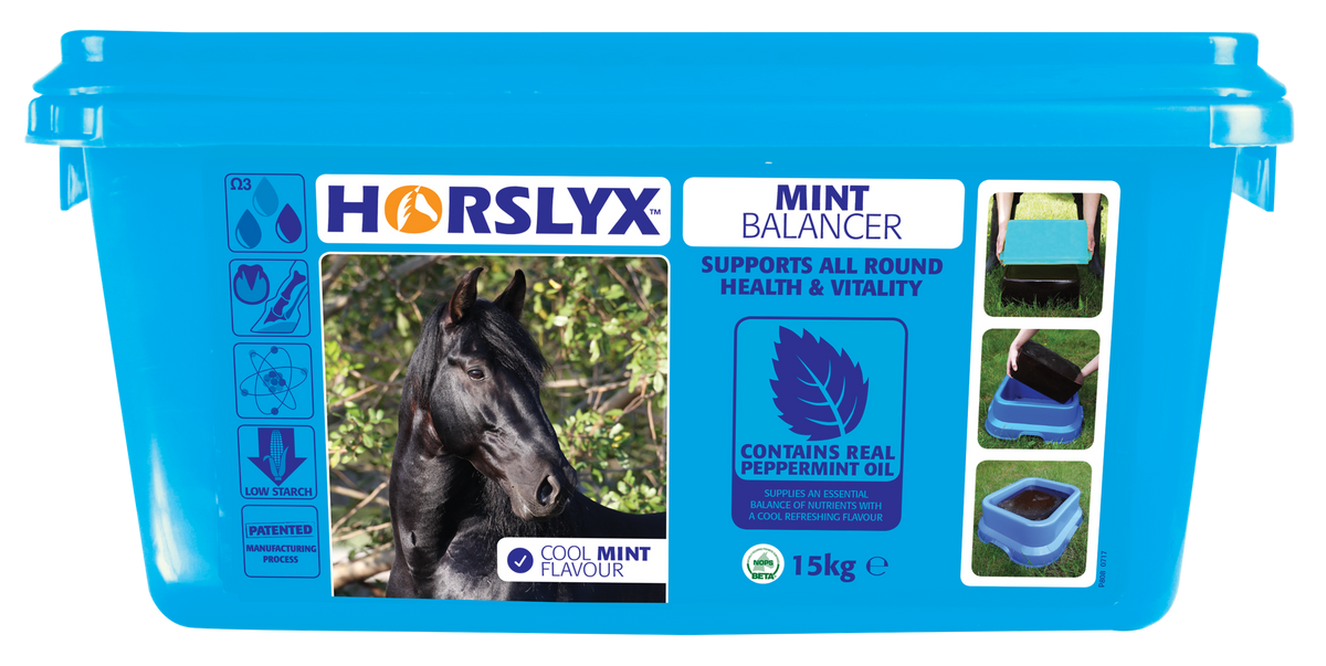 Horslyx Mint Balancer