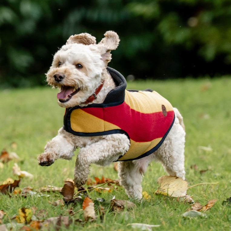 Horseware Ireland Newmarket Dog Fleece #colour_whitney-gold