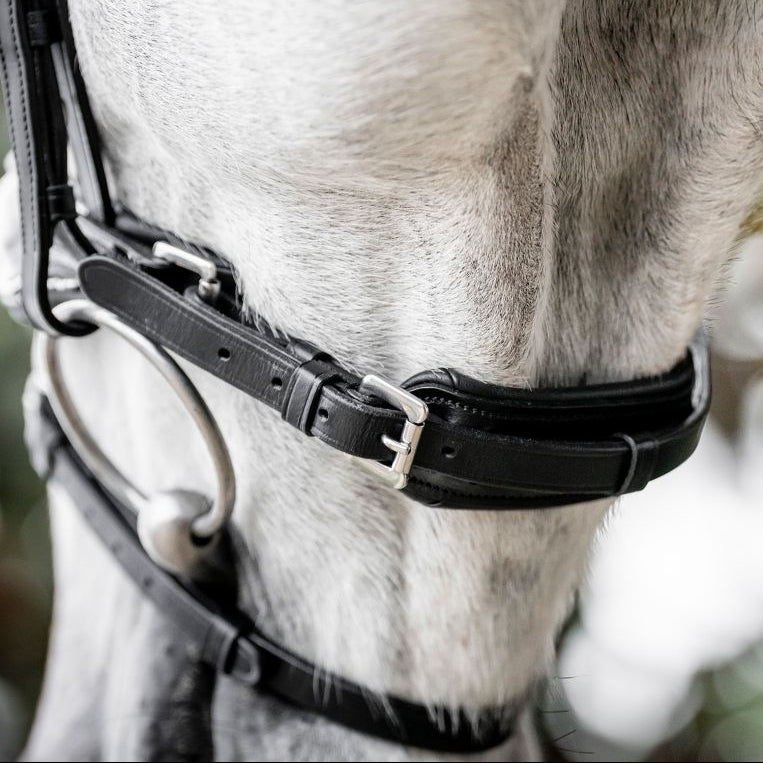 Horseware Ireland Diamante Flash Bridle #colour_black-silver