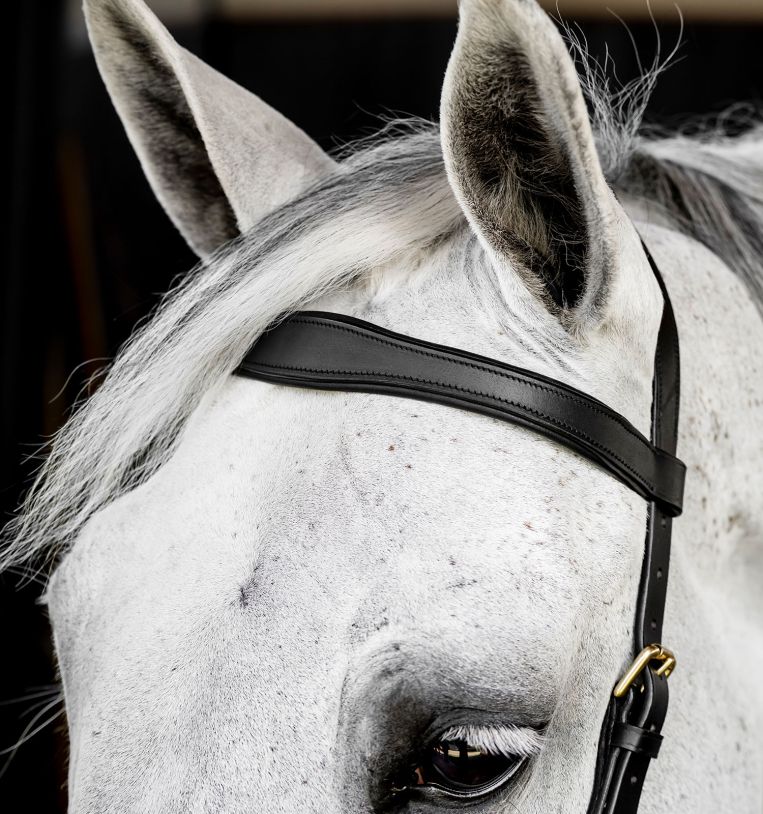 Horseware Micklem Multi Bridle #colour_black