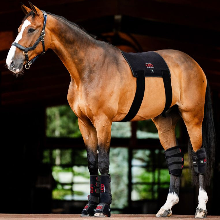 Horseware Ireland LED Red Light Therapy Pad #colour_black-black