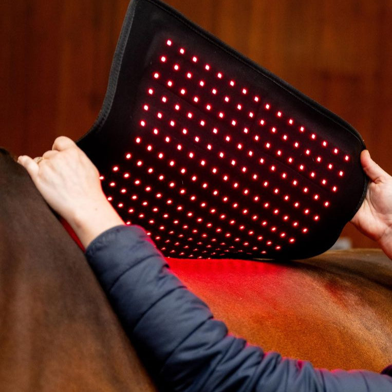 Horseware Ireland LED Red Light Therapy Pad #colour_black-black