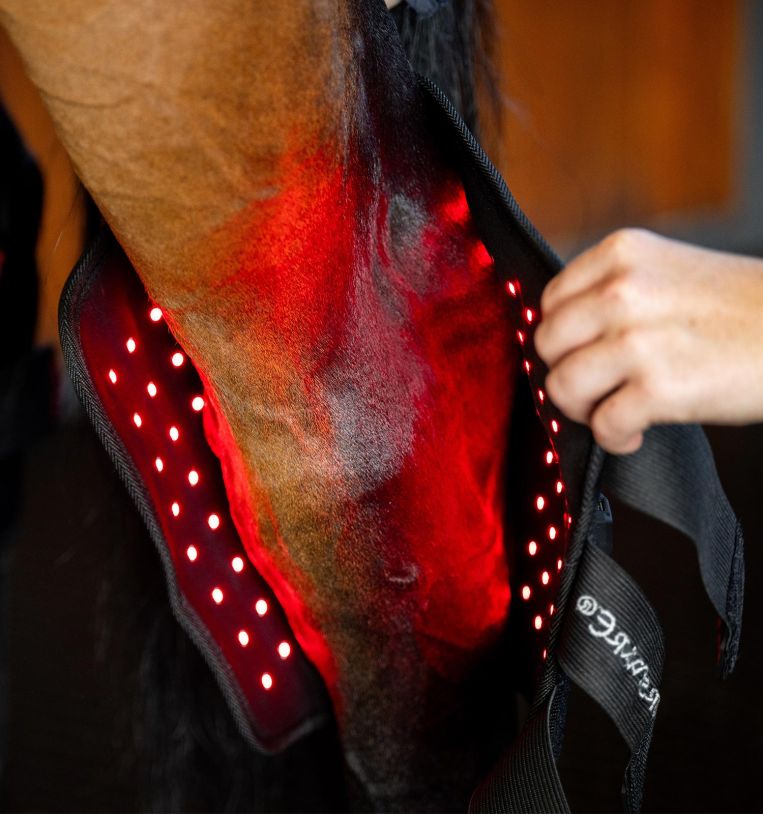 Horseware Ireland LED Red Light Therapy Hock Boot
