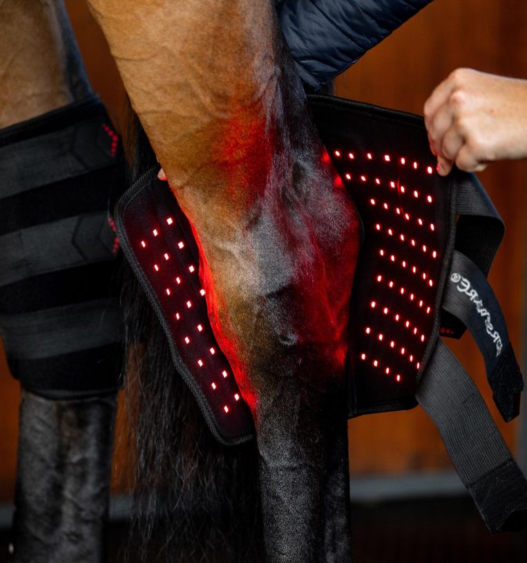 Horseware Ireland LED Red Light Therapy Hock Boot