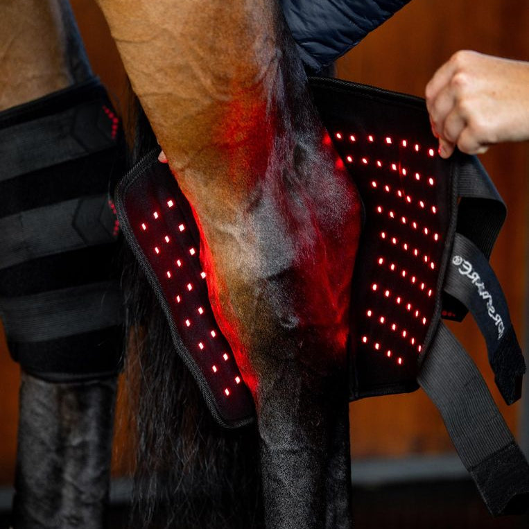Horseware Ireland LED Red Light Therapy Hock Boots Pair