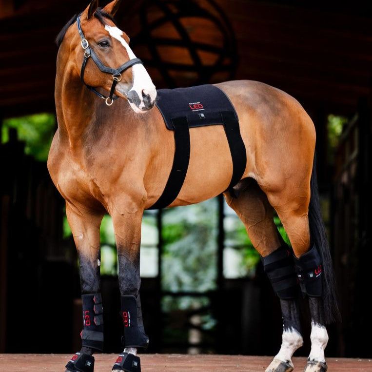 Horseware Ireland LED Red Light Therapy Mini Wrap #colour_black-black