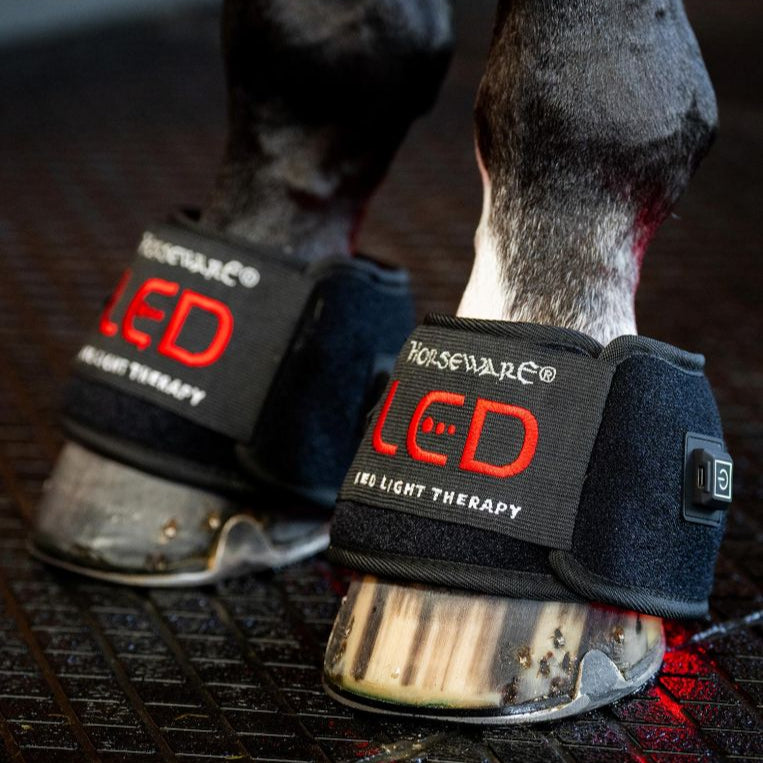 Horseware Ireland LED Red Light Therapy Mini Wrap #colour_black-black