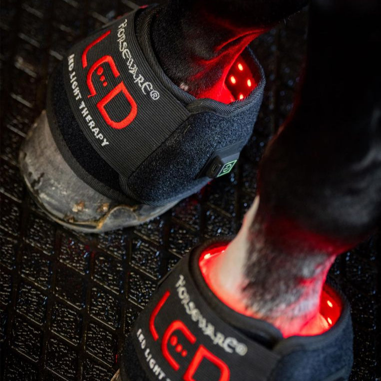 Horseware Ireland LED Red Light Therapy Mini Wrap #colour_black-black